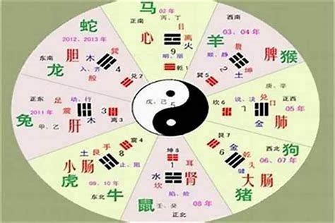 宣 五行|宣字的五行属性